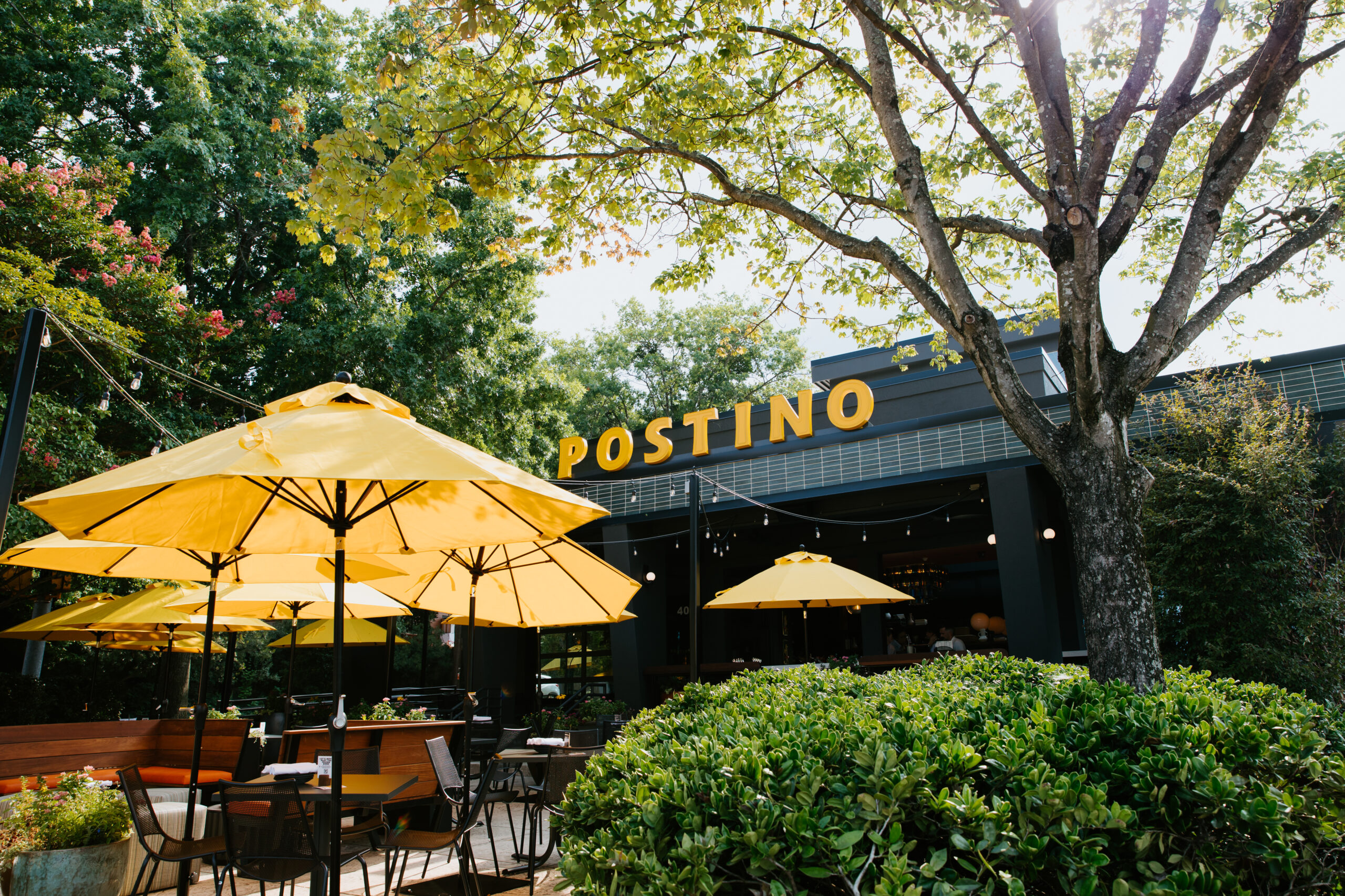 Postino Wine Cafe – Williams Realty & Building Company, Inc.